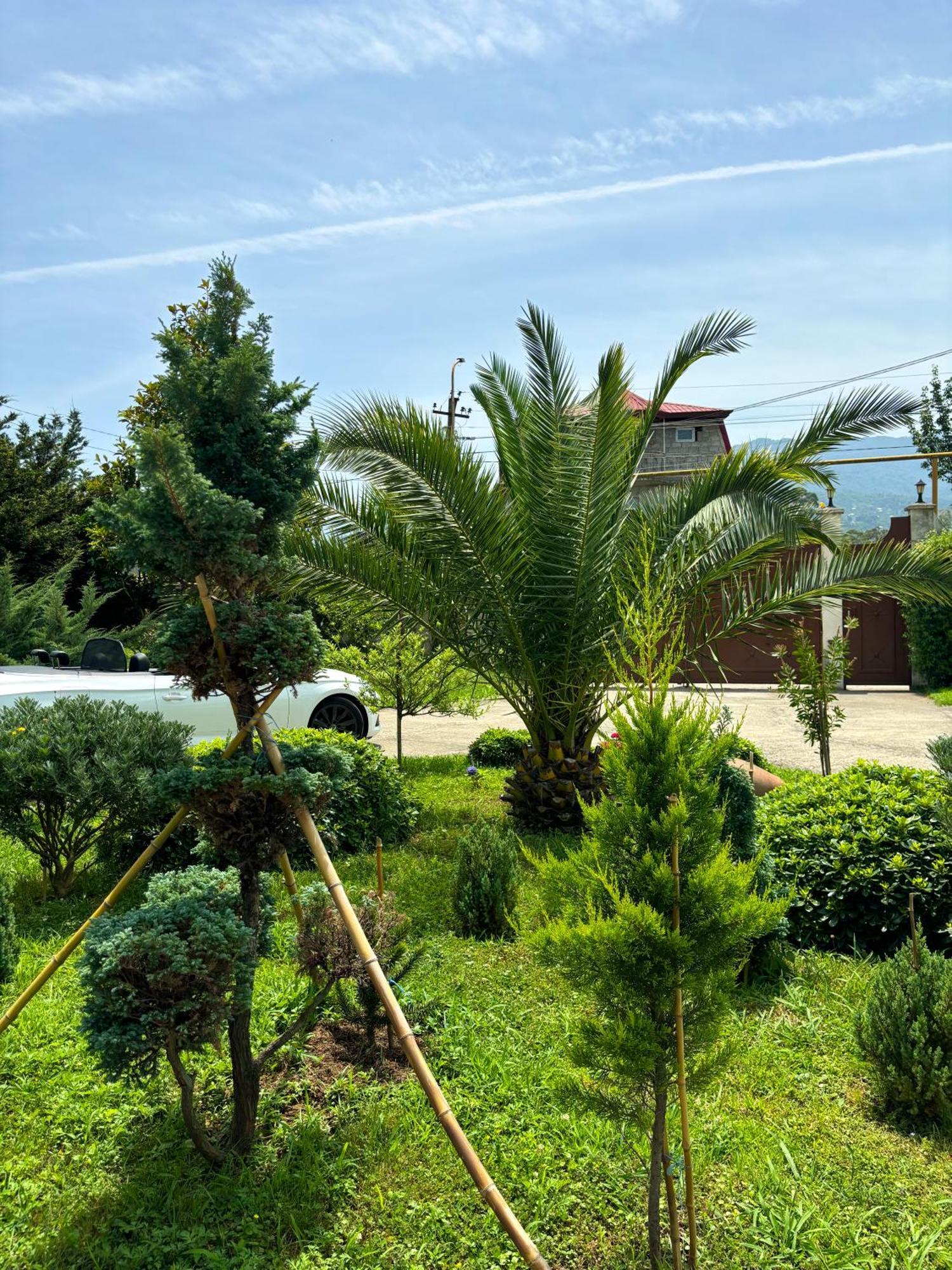Villa Qero Batumi Eksteriør bilde